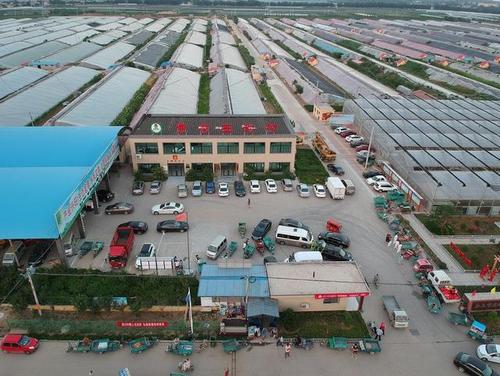 安丘田头市场 专业服务与议价底气并重的乡村振兴样本